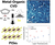 New Publication: Scalable Metal–Organic Chemical Vapor Deposition of High Quality PtSe₂