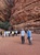 Wadi Rum 2