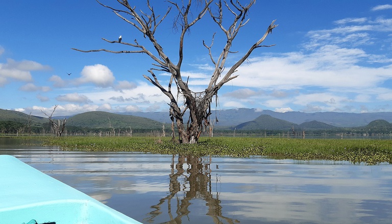 Lake Naivasha