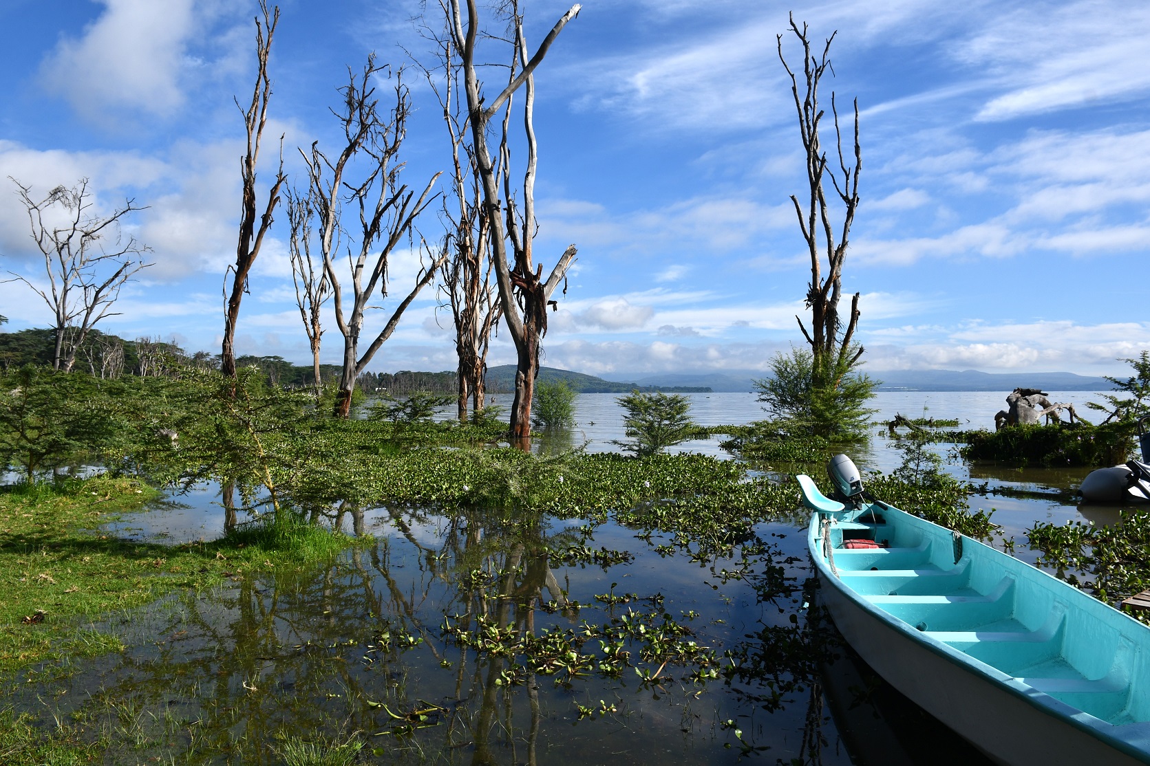 Ecology Lake Naivasha 9.JPG